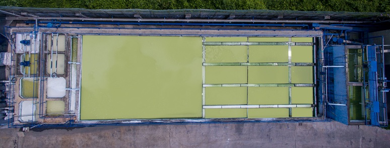 環保處理3 774.jpg